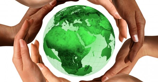 Phòng họp không giấy tờ có tác động tích cực đến môi trường