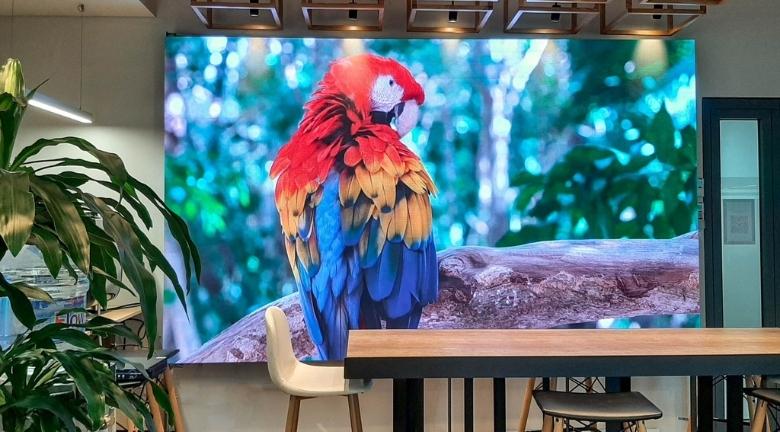 LED Video Wall và Máy chiếu – Đâu là sẽ lựa chọn tối ưu cho doanh nghiệp của bạn?